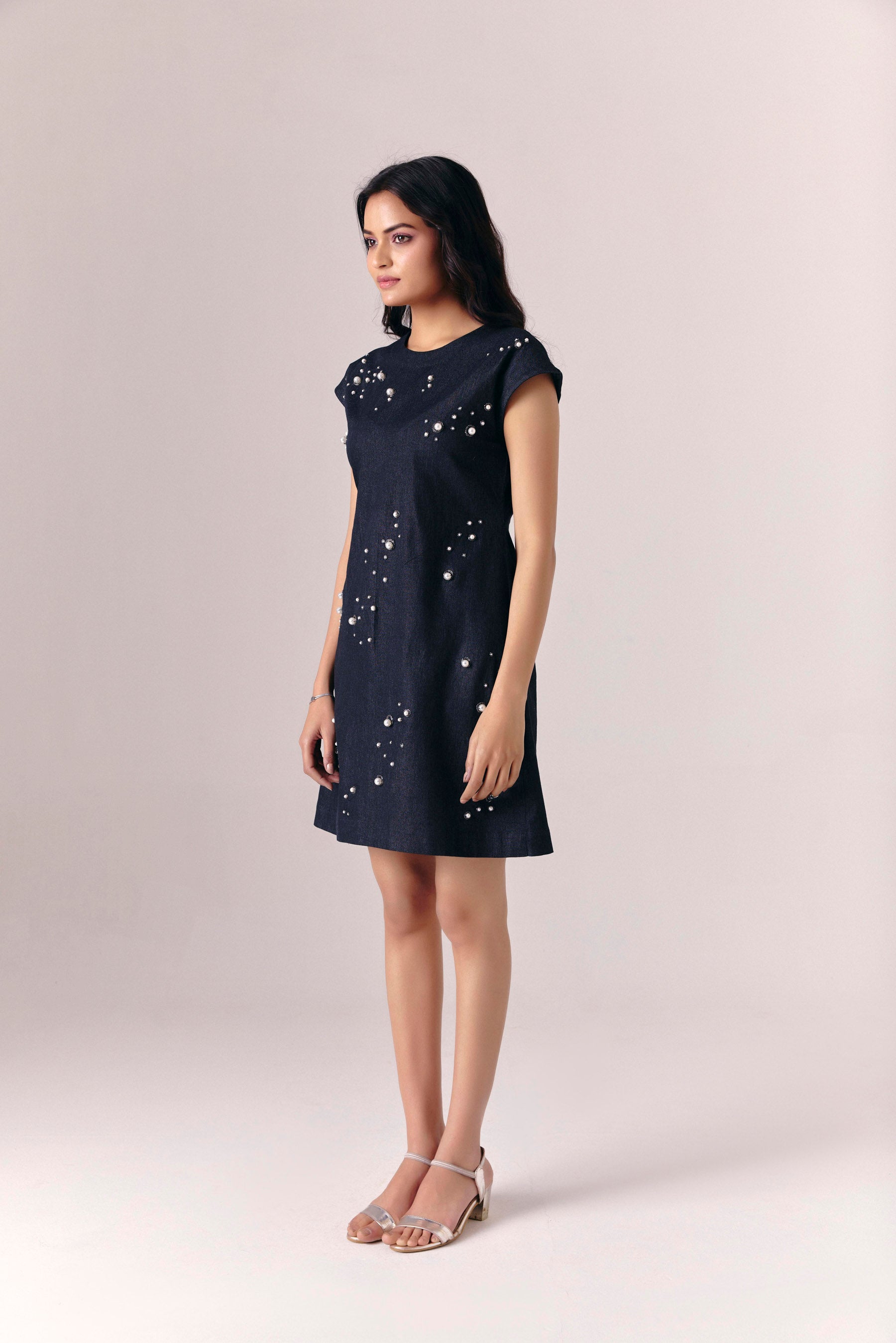 Starnight Denim Dress